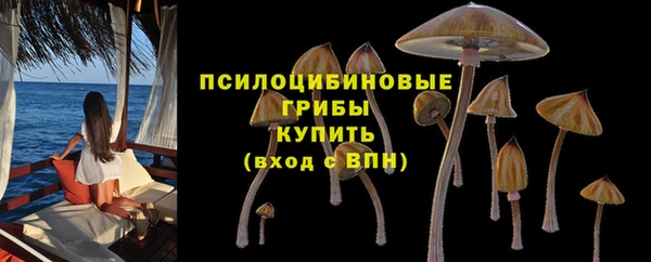 мескалин Абаза