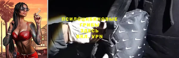 сатива Алзамай