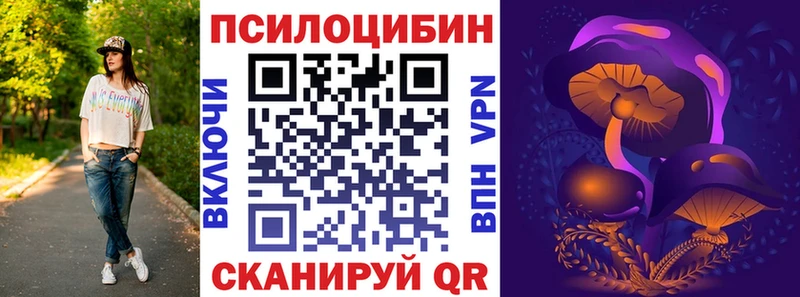 Псилоцибиновые грибы MAGIC MUSHROOMS  где купить наркоту  OMG ТОР  Орск 