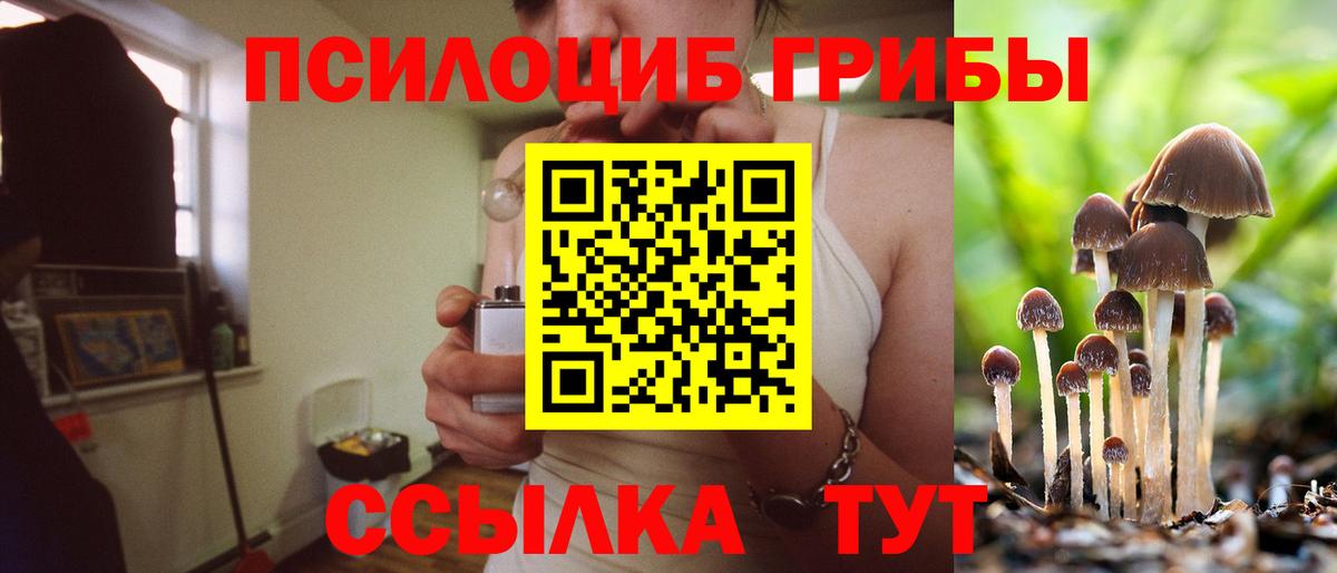 Галлюциногенные грибы Cubensis  Вход с VPN  Орск  Галлюциногенные грибы ЛСД 